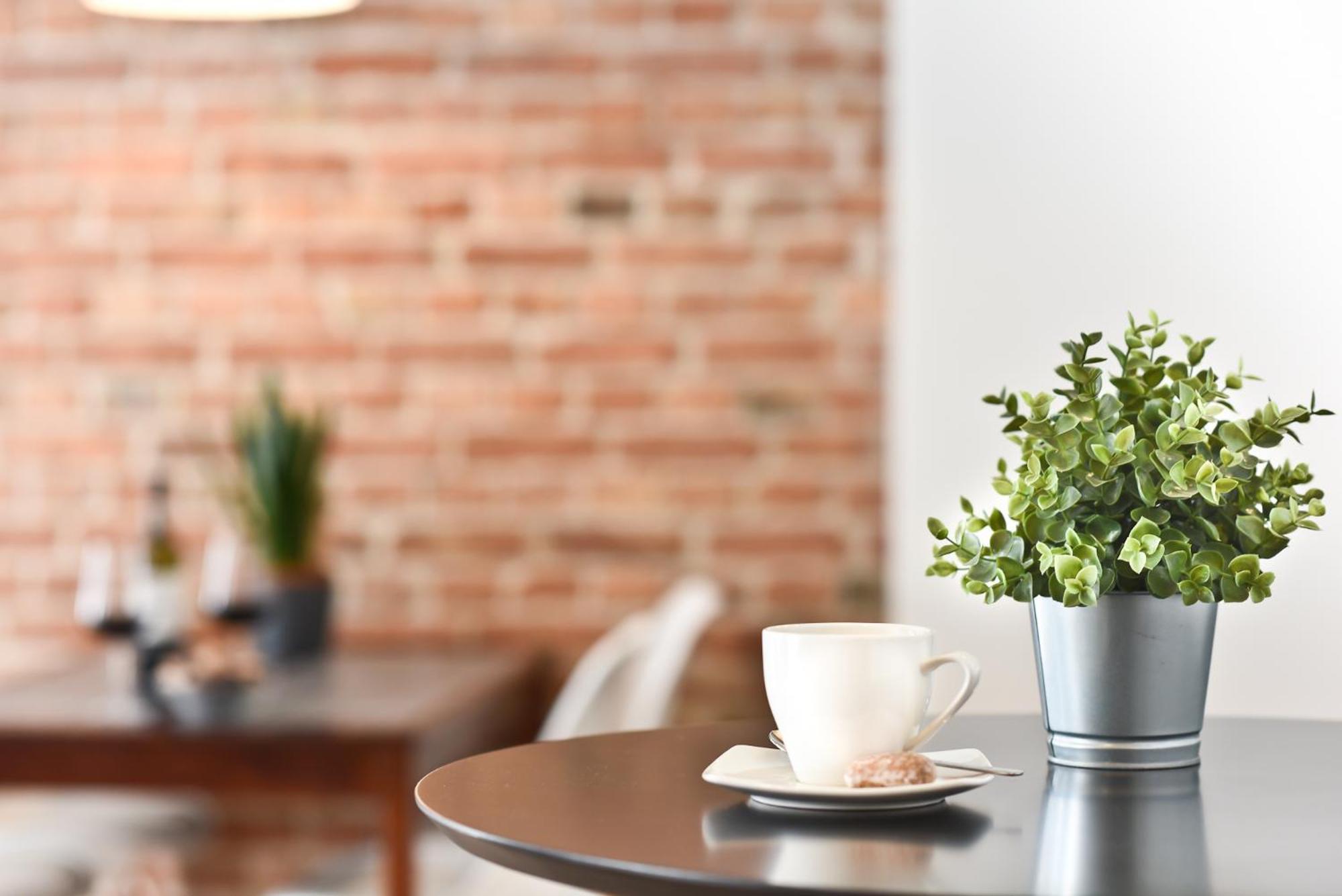 Green Garden Apartment Stary Toruń المظهر الخارجي الصورة